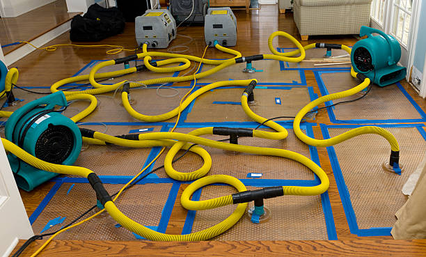 Professional Water Extraction technician working in Berwick, LA